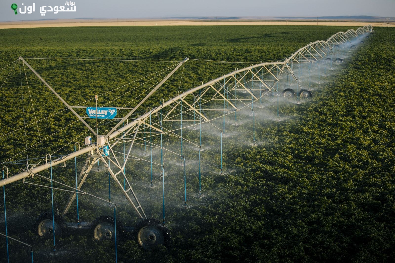 تكنولوجيا مبتكرة لمتابعة درجات الحرارة وتوقيت ري زراعة الشرقية