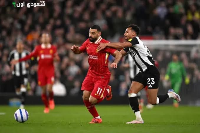 ليفربول ونيوكاسل