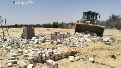 بدء الموجة رقم 27 لإزالة التعديات والإشغالات بالبحيرة