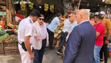 محافظ الدقهلية يتفقد أداء الوحدات المحلية في شكاوى القمامة