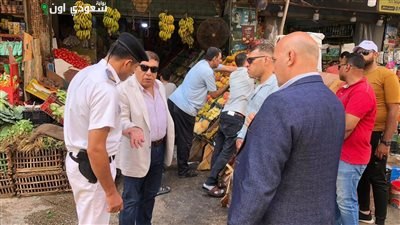 محافظ الدقهلية يتفقد أداء الوحدات المحلية في شكاوى القمامة