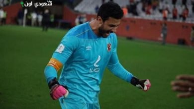 الشناوي