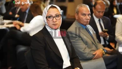 نائب محافظ الوادي الجديد