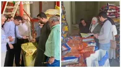 حملات تفتيشية تكتشف مخالفات بمصانع الأعلاف في سوهاج