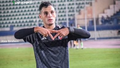 بدر موسى