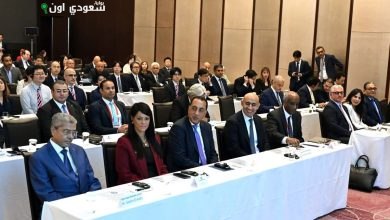 مصر واليابان تبحثان تعزيز التعاون الاقتصادي خلال قمة تيكاد 9