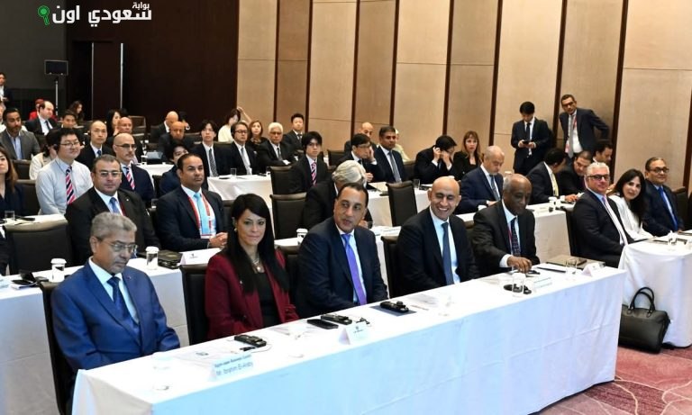 مصر واليابان تبحثان تعزيز التعاون الاقتصادي خلال قمة تيكاد 9