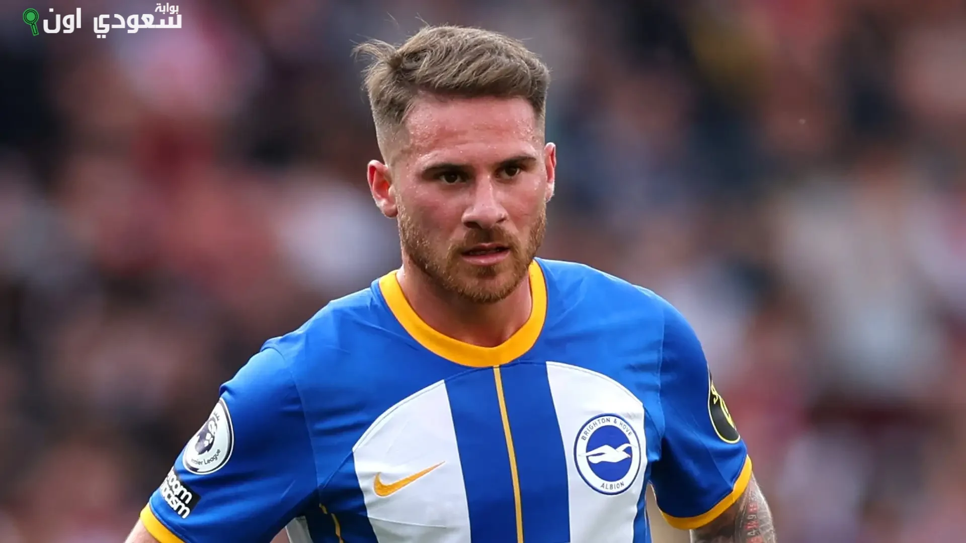 أليكسيس ماك أليستر