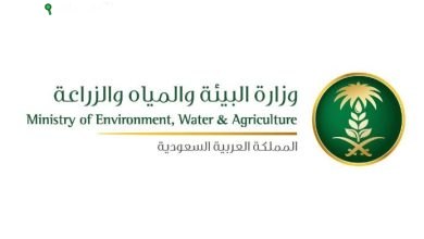 وزارة البيئة: الدعم المالي للمنظمات غير الربحية يتطلب الحوكمة الدقيقة