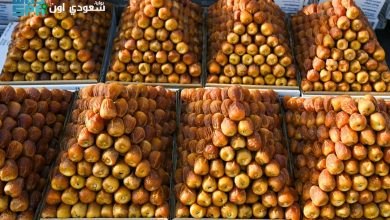 فعاليات "دبلوماسية التمور"