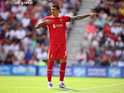 داروين نونيز