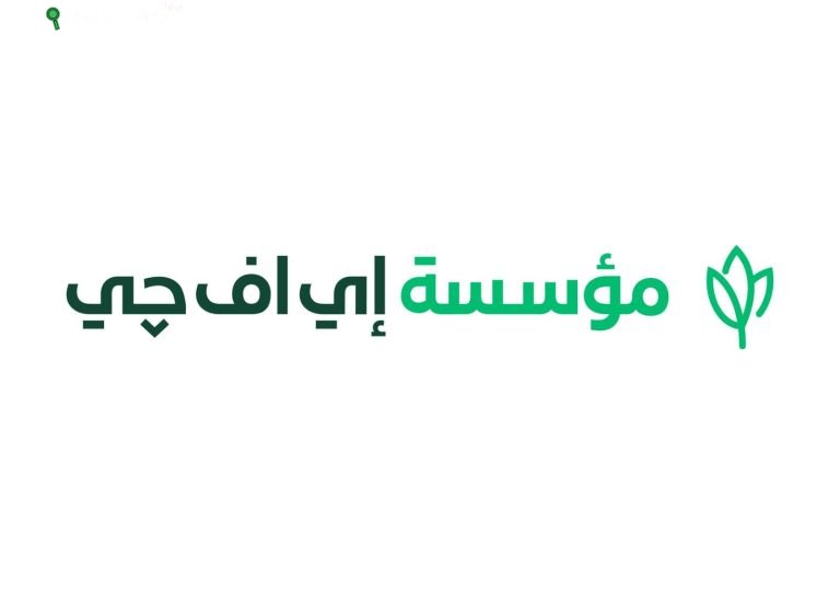 مؤسسة إي اف چي للتنمية الاجتماعية