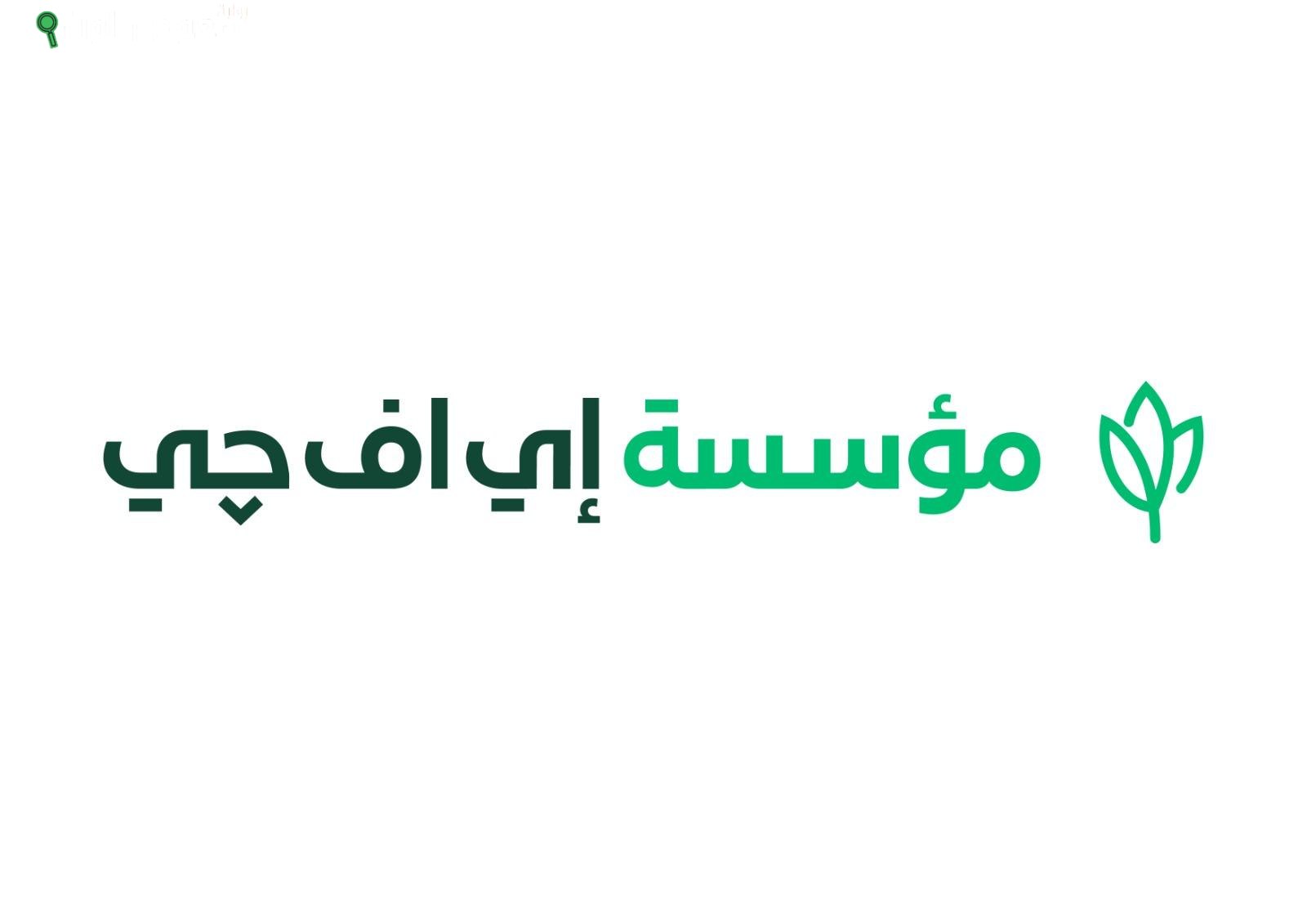 مؤسسة إي اف چي للتنمية الاجتماعية