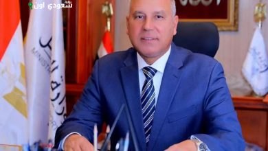 الفريق مهندس كامل الوزير، نائب رئيس مجلس الوزراء للتنمية الصناعية