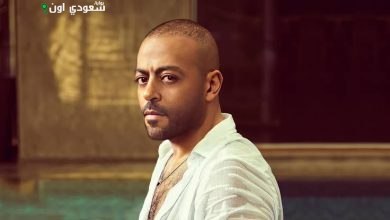 الفنان تامر عاشور