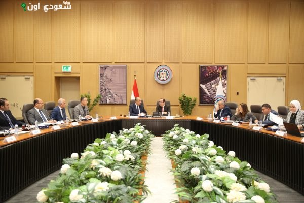 وزيرا المالية وقطاع الأعمال العام يتباحثان حول ملفات تعاون مشتركة
