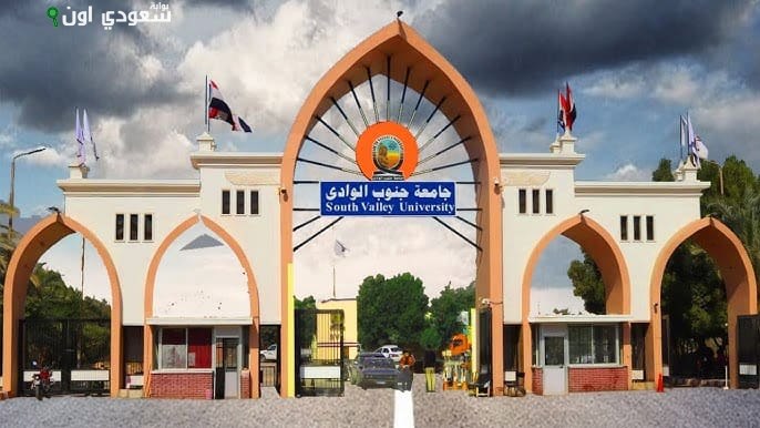 جامعة جنوب الوادى