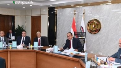 وزير قطاع الأعمال