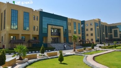 جامعة سفنكس بأسيوط الجديدة رمز التعليم والابتكار في الصعيد