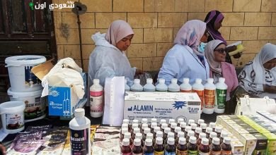 توزيع الأدوية وعلاج آلاف الحيوانات بقافلة بيطرية في كفر الشيخ