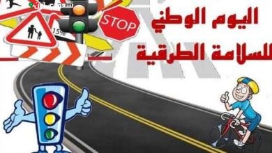 مدير سلامة الطرق: تقليص الوفيات