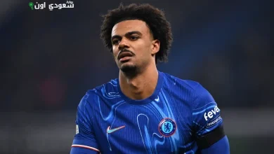 ريناتو فيجا