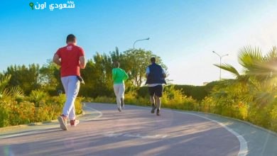 أرض القصيم الخضراء تدعم مفهوم أنسنة المدن