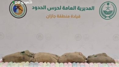 حرس الحدود في جازان يضبط يمنيًا بحوزته 75 كيلوجرامًا من القات المخدر