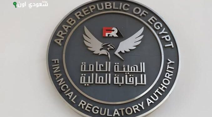 الرقابة المالية تطلق معايير جديدة لملاءة شركات التمويل غير المصرفي