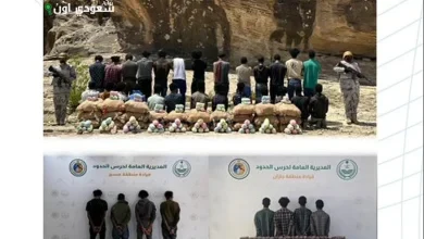 تبوك: القوات الأمنية تحبط تهريب 230,000 قرص من الأمفيتامين