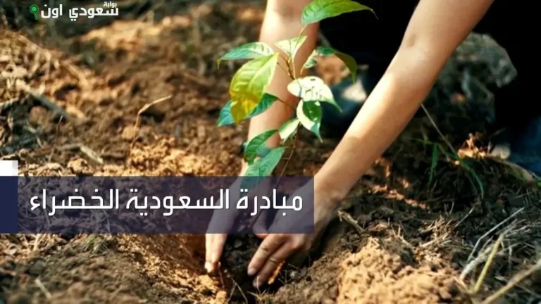 تحقيق زراعة 151 مليون شجرة على 500 ألف هكتار في السعودية الخضراء