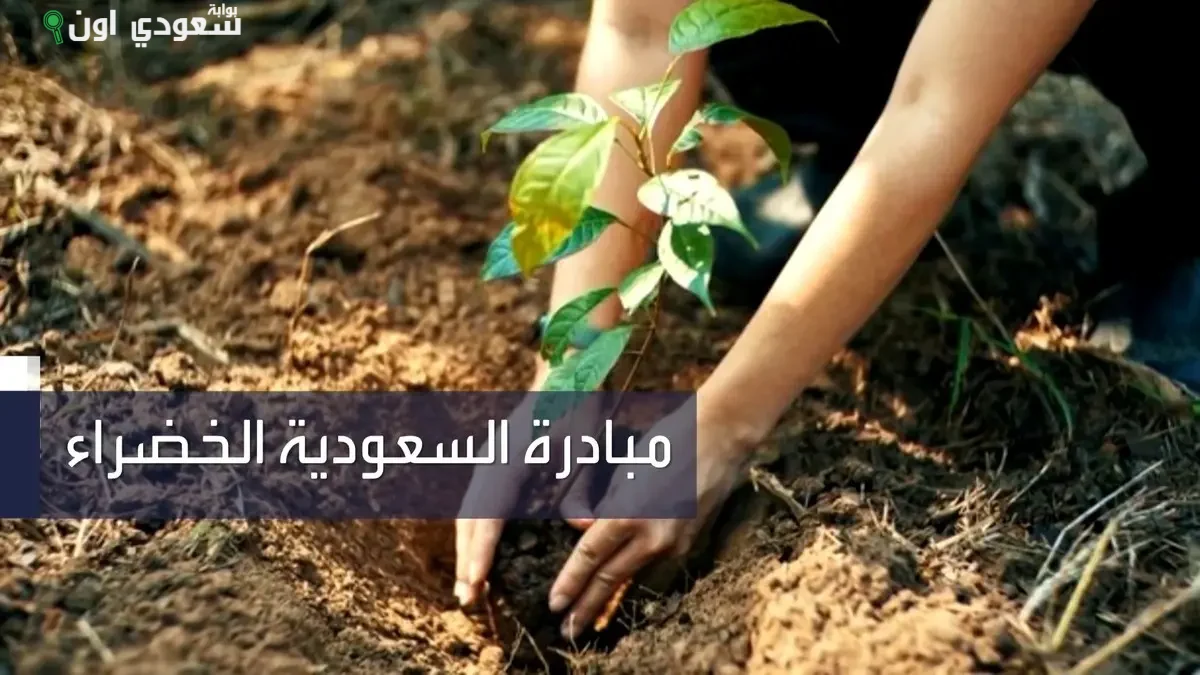 تحقيق زراعة 151 مليون شجرة على 500 ألف هكتار في السعودية الخضراء