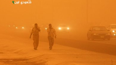 أمطار متقطعة ورياح عاصفة تجلب الغبار