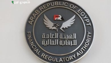 الرقابة المالية