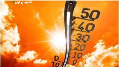 أحوال جو اسوان يوم الخميس 14 أغسطس 2025 حارة ورطبة