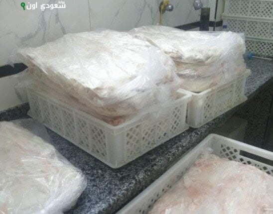 مديرية الطب البيطرى بالقليوبية