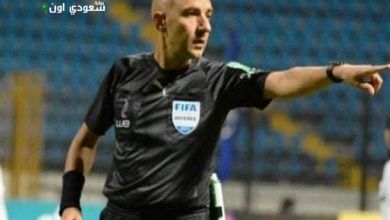 الحكم المصري محمد عادل