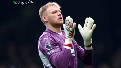 آرون رامسديل