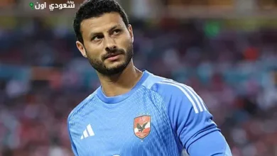 محمد الشناوي