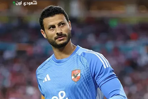 محمد الشناوي