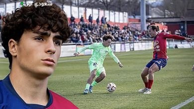 يان فيرجيلي