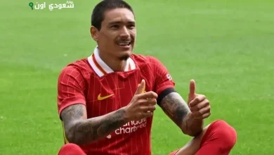 داروين نونيز،