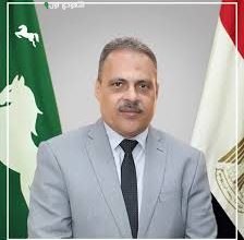 محافظ الشرقية