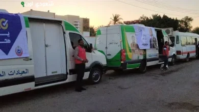 135 ألف خدمة صحية تقدمها مبادرة "100 يوم صحة" خلال انتخابات الشيوخ في الدقهلية