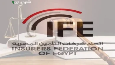 اتحاد شركات التأمين المصرية