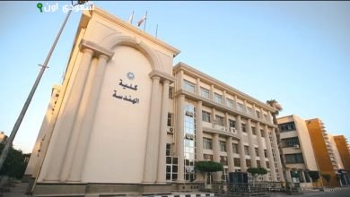 كلية الهندسة بجامعة المنصورة