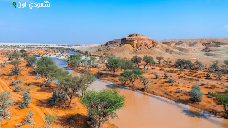 محمية الملك عبدالعزيز الملكية