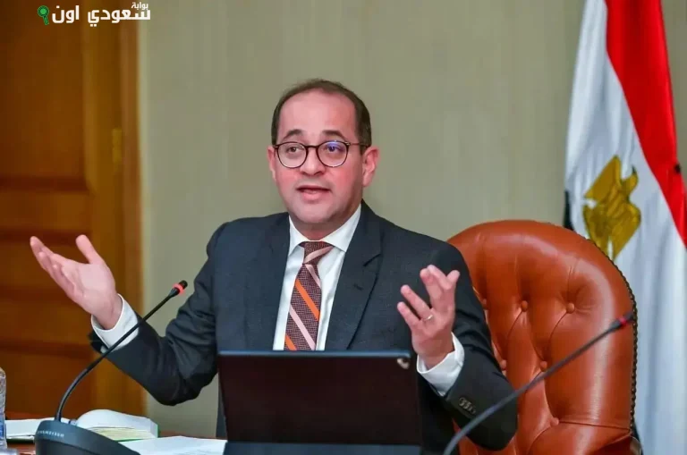 أحمد كجوك، وزير المالية