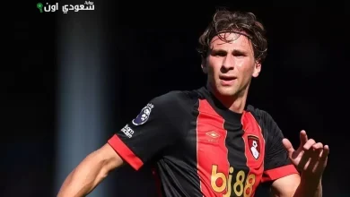 إيليا زابارني