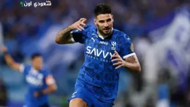 ألكسندر ميتروفيتش